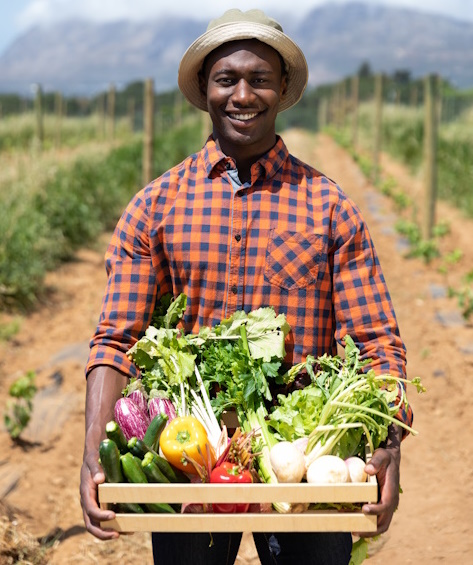 Marketing Image